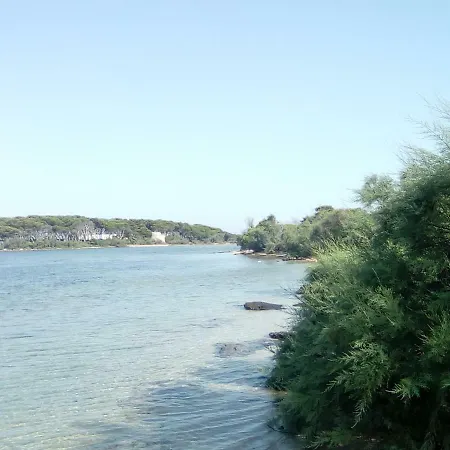 Vie En Rose Bed & Breakfast