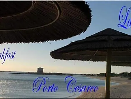 Bed & Breakfast Vie En Rose