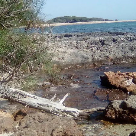 Alojamento de Acomodação e Pequeno-almoço Vie En Rose Porto Cesareo